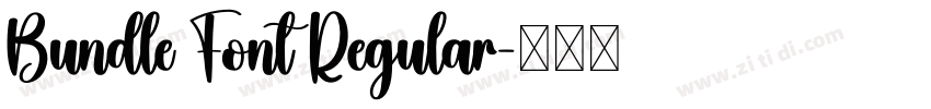 Bundle Font Regular字体转换 Bundle Font Regular字体转换